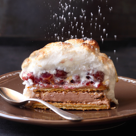 Schwarzwaelder Eisboembchen 441X441