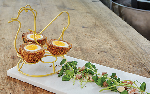 Skottilaiset Kananmunat