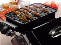 Spiedini Di Pollo Allo Zenzero E Limone