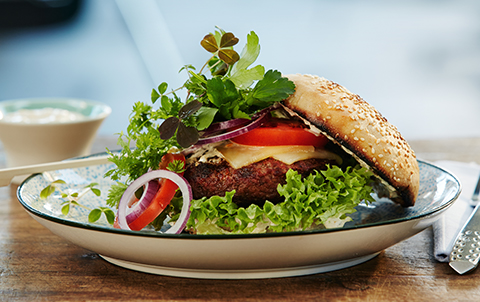 Takapihan Sankarin Purilainen