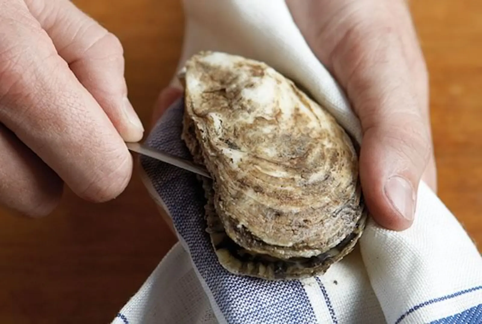 Fp 3 D4 Oyster3