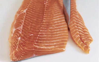 Preparing a Salmon Fillet