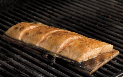 Planking Salmon